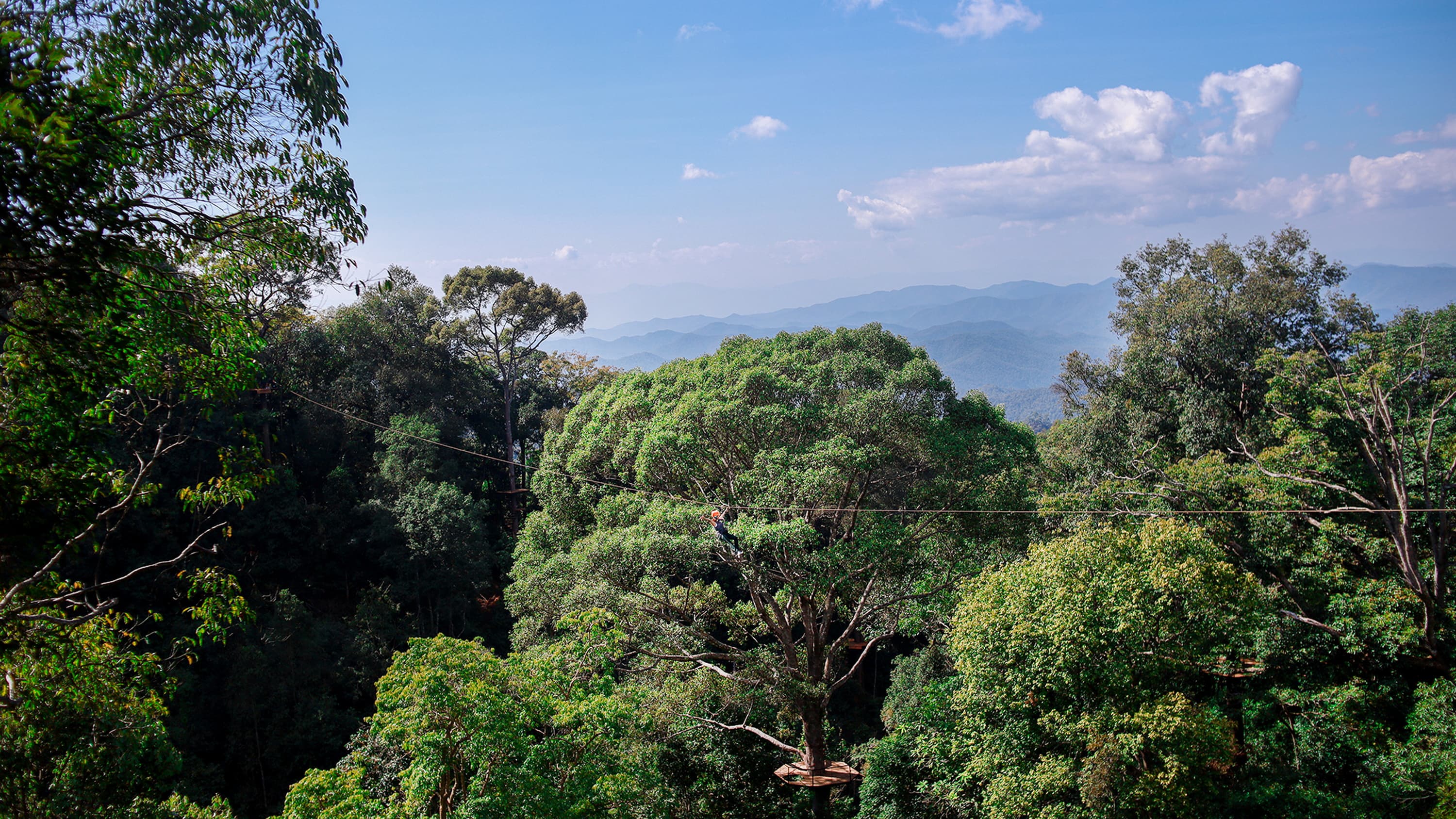 Rainforest canopy and mountains in Doi Saket