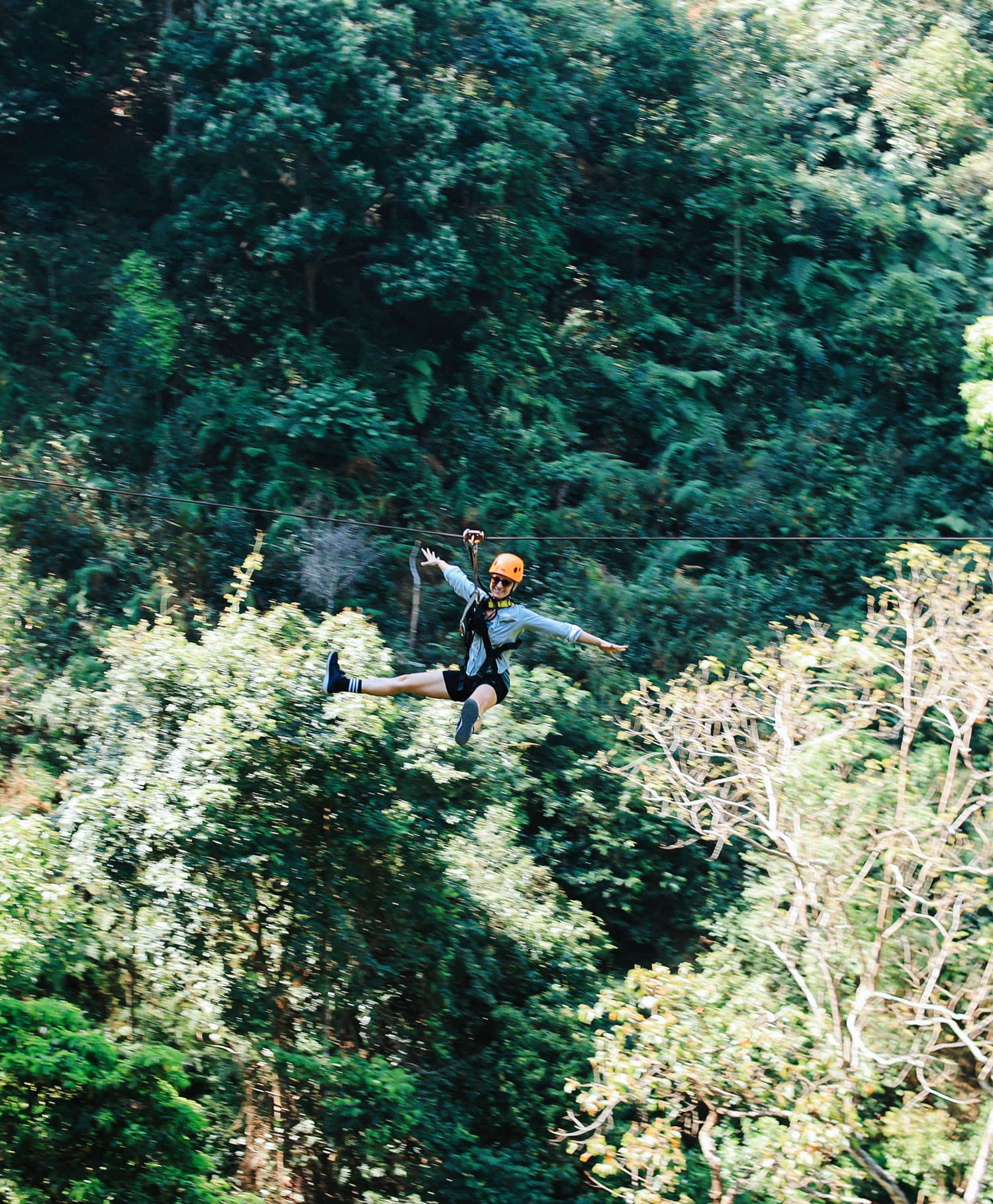 Flying Tiger Zipline Experience