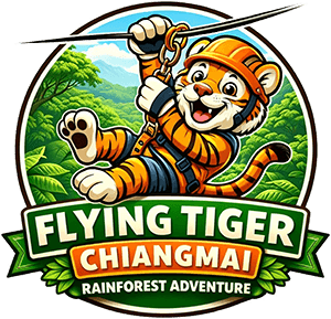 Flying Tiger Zipline