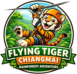 Flying Tiger Chiang Mai — Rainforest Adventure